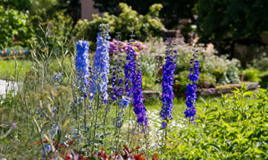 Gartenpforte Dresden