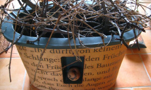 Sortiment, Marken und Produkte in der Gartengalerie